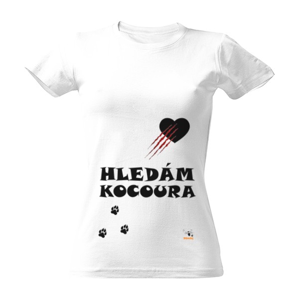 Hledám kocoura